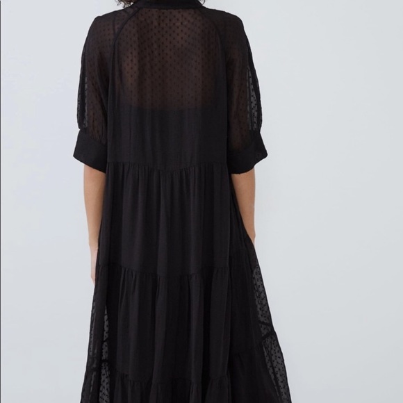 Zara Dresses Zara Sheer Maxi Dress Poshmark